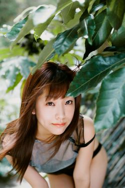 年轻的妺妺2伦理HD中文字幕