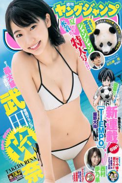 40集电视剧玫瑰故事免费观看
