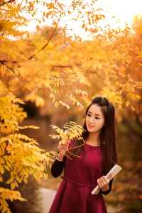 女总裁的全能兵王 小说